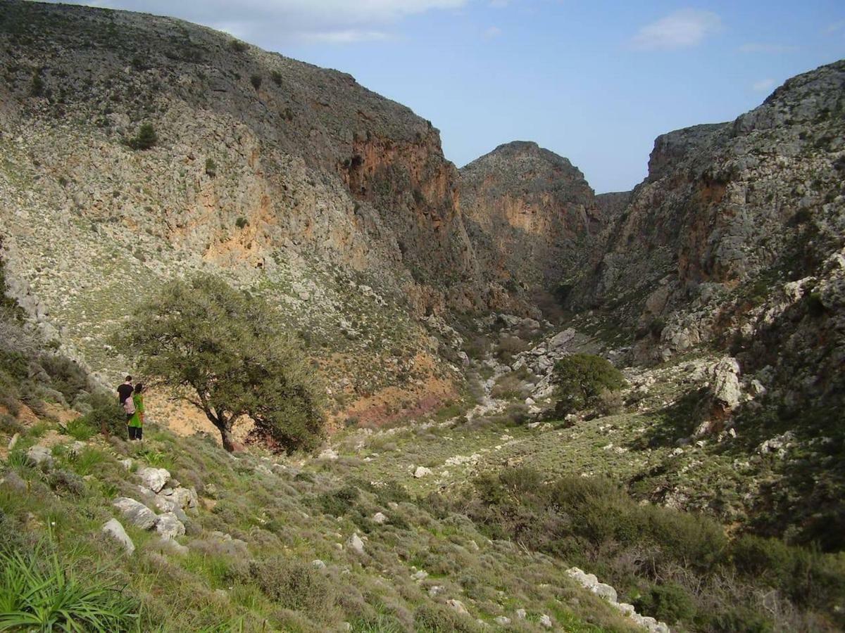 Sitia Old Port Studio المظهر الخارجي الصورة